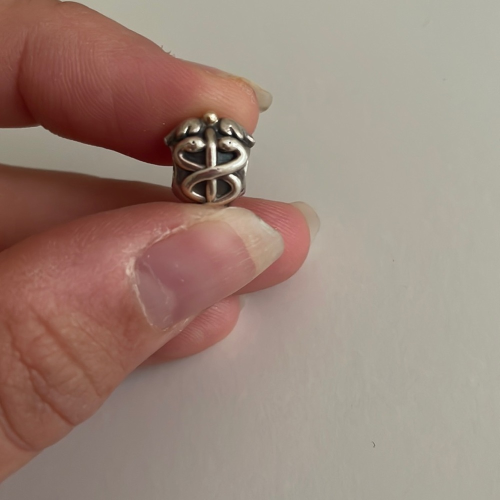 Caduceus/Medical Pandora Charm